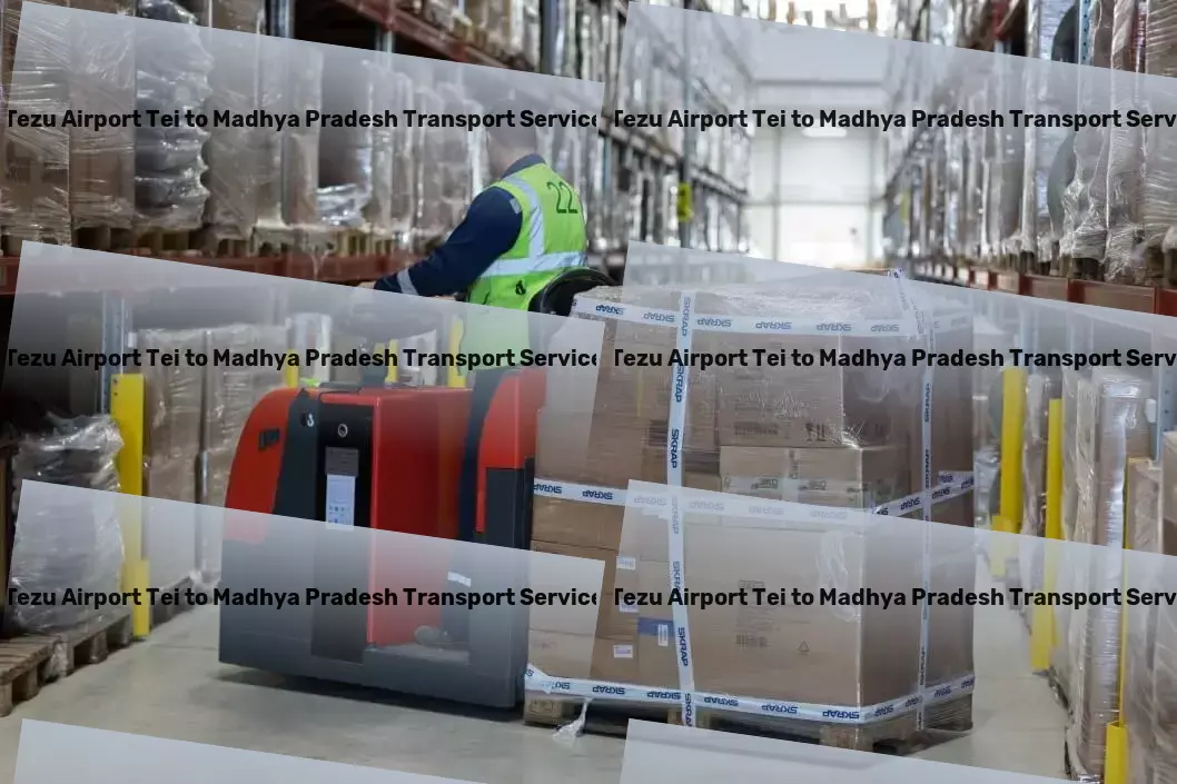 Tezu Airport Tei to Madhya Pradesh Household Goods Transport The ultimate solution for all your Indian shipping concerns! - Bulk goods delivery