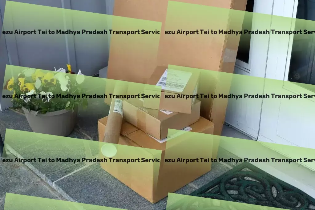 Tezu Airport Tei to Madhya Pradesh Household Goods Transport Redefining logistics for India's dynamic market needs! - Large item freight services